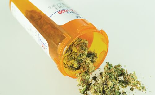 Navigating Washington State's Medical Marijuana Maze