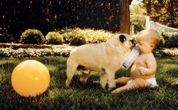 Parental Guidance: Beyond Story Time, Pet Project and Mother of Invention