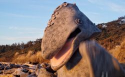 Road Trip: Tofino, Vancouver Island, B.C.