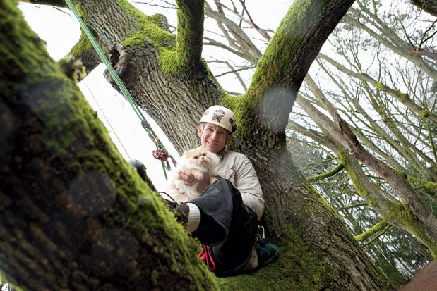 Seattle's Own Cat Rescuer