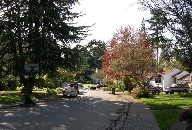 Seattle's Underappreciated Neighborhoods