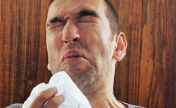 How Climate Change is Altering Allergies in Seattle