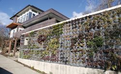 Vertical Gardening is Growing Up in Seattle, Enlivening Walls with Upwardly Mobile Greenery