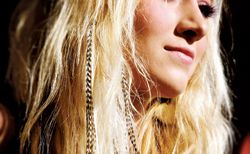 Local Salons Take Portlandia’s “Put a Bird on It” Mantra to Heart