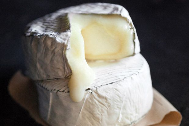 Mt. Townsend's Seastack Cheese