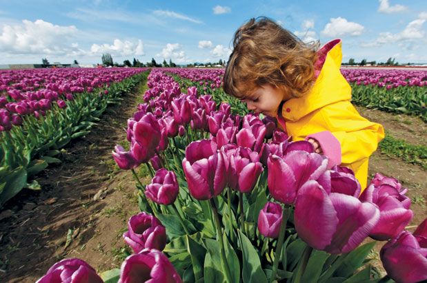 Northern Shores: Small-town Getaways