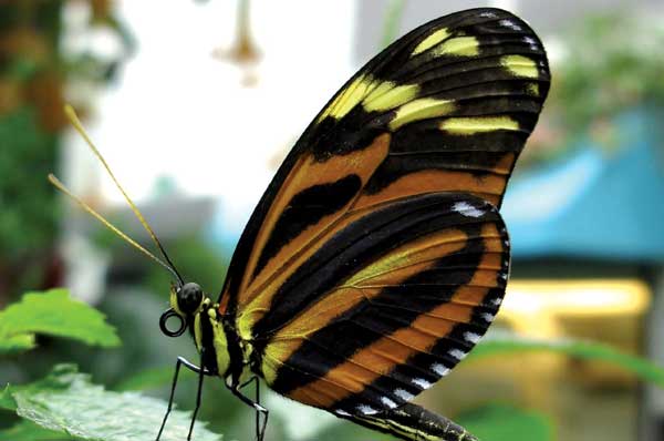 Five Mini-Escapes Perfect for When Seattle is Too Gloomy