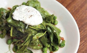 Tis' the Season for Tempting Pea Vines