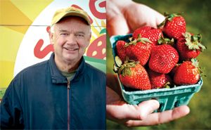 Bite Into Skagit Sun's Shuksan Strawberries