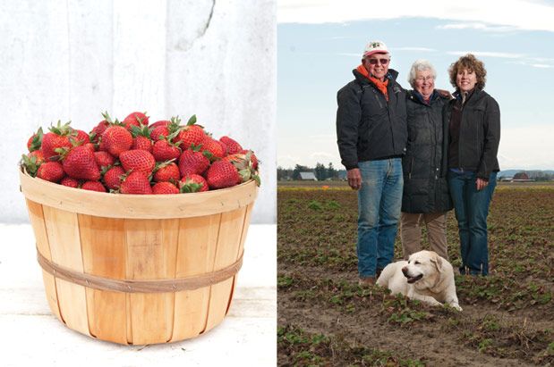 Pick the Schuhs' Berries