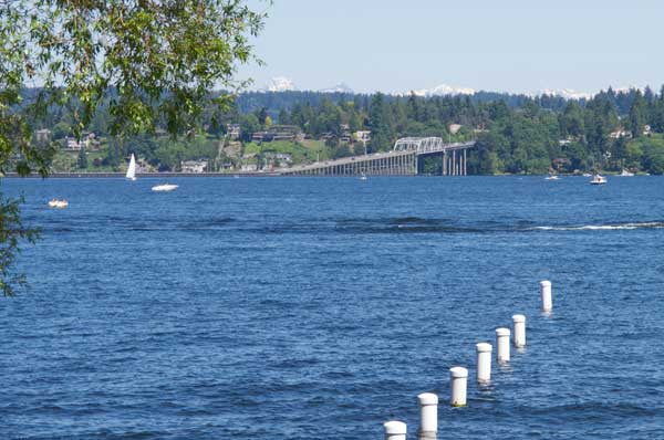 Seven Things (Not) to Do in Seattle This Summer