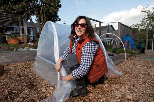 Coddle Your Tomatoes