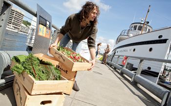 Kelley Moore's Waterside Farm Picnic
