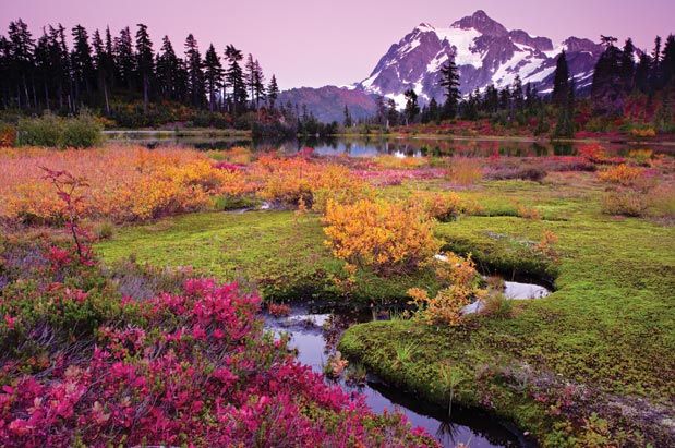 Best Hikes to See Color Change