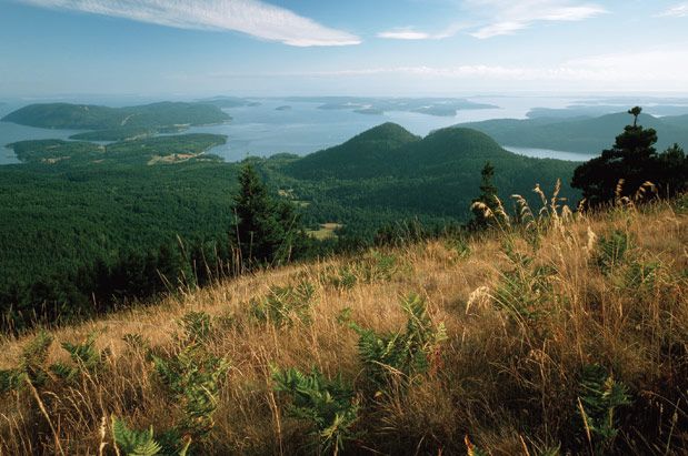 Best Hikes with Views