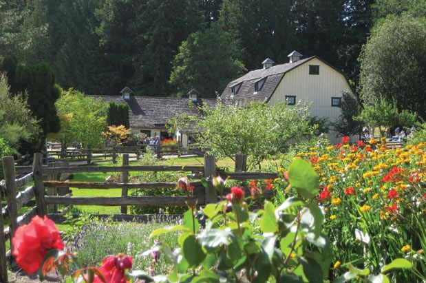 Hear Classical Music on the Peninsula