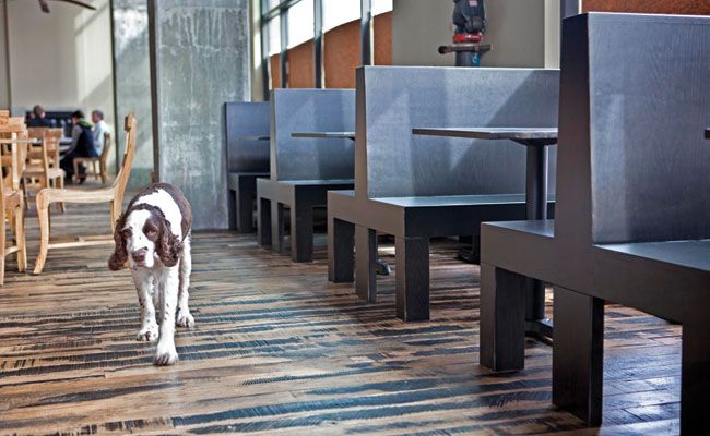 Edge Meets Value at Bellevue's Black Bottle Postern