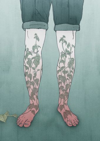 Meet Seattle’s Newest Invasive Plant