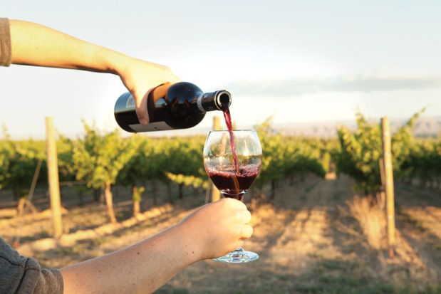 Tasting the Elusive Tempranillo