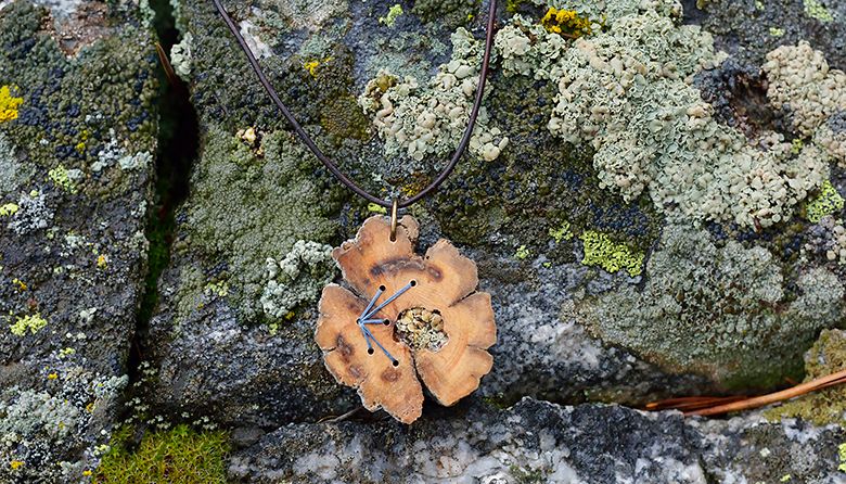 Local Online Boutique Lichenology Brings Jewelry Back to Nature