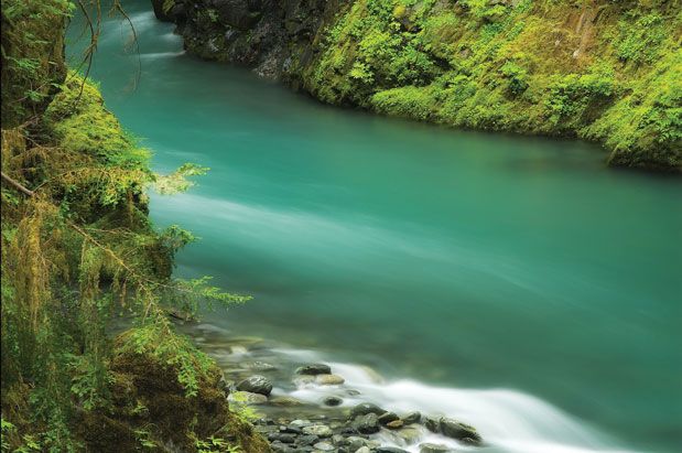 Supporting the Parks and Calming Inner Panic