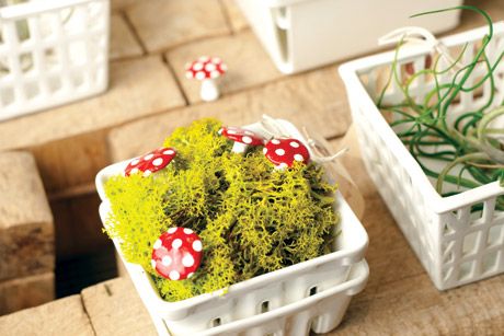 Best Local Shopping in 2011