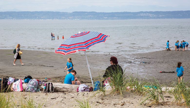 Day Trip: Everett's Jetty Island Is a Low-Key Piece of Paradise