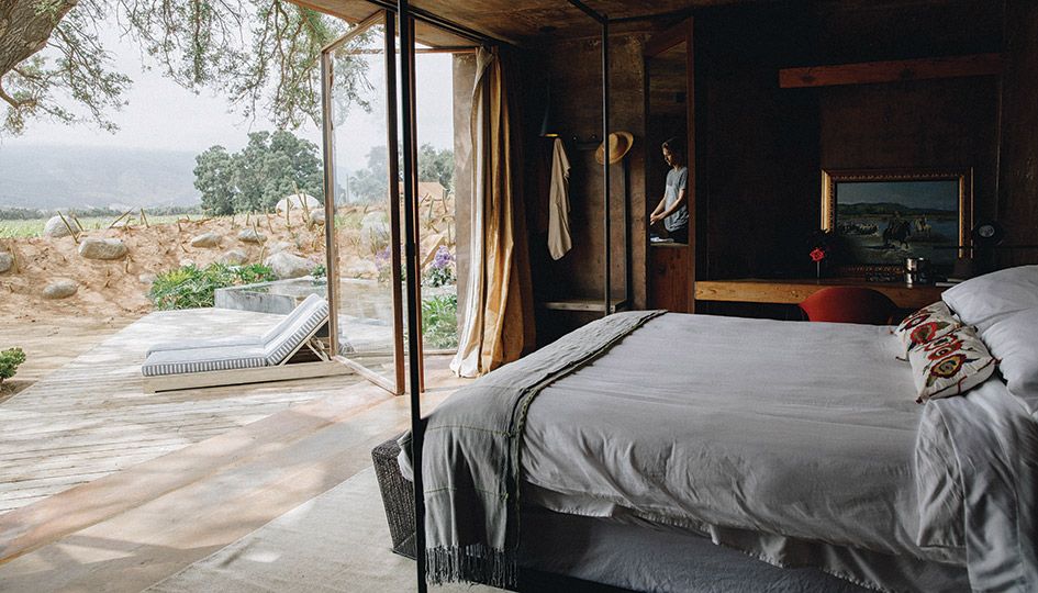 In Valle de Guadalupe, the Desert’s Lack of Water Becomes World-Class Wine