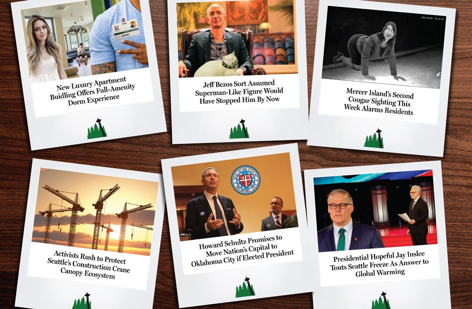 A Year's Worth of Laughs: The Needling's 2019 Year in Review