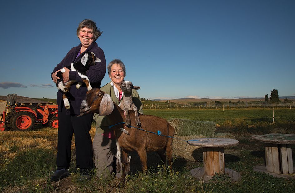 Washington State Cheesemaking Is on the Rise