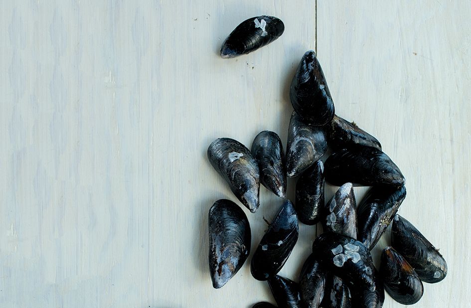 Book Excerpt: Demystifying Mussels with 'The Pacific Northwest Seafood Cookbook'