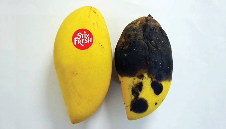 Kirkland Startup Develops Produce Sticker to Fight Food Waste