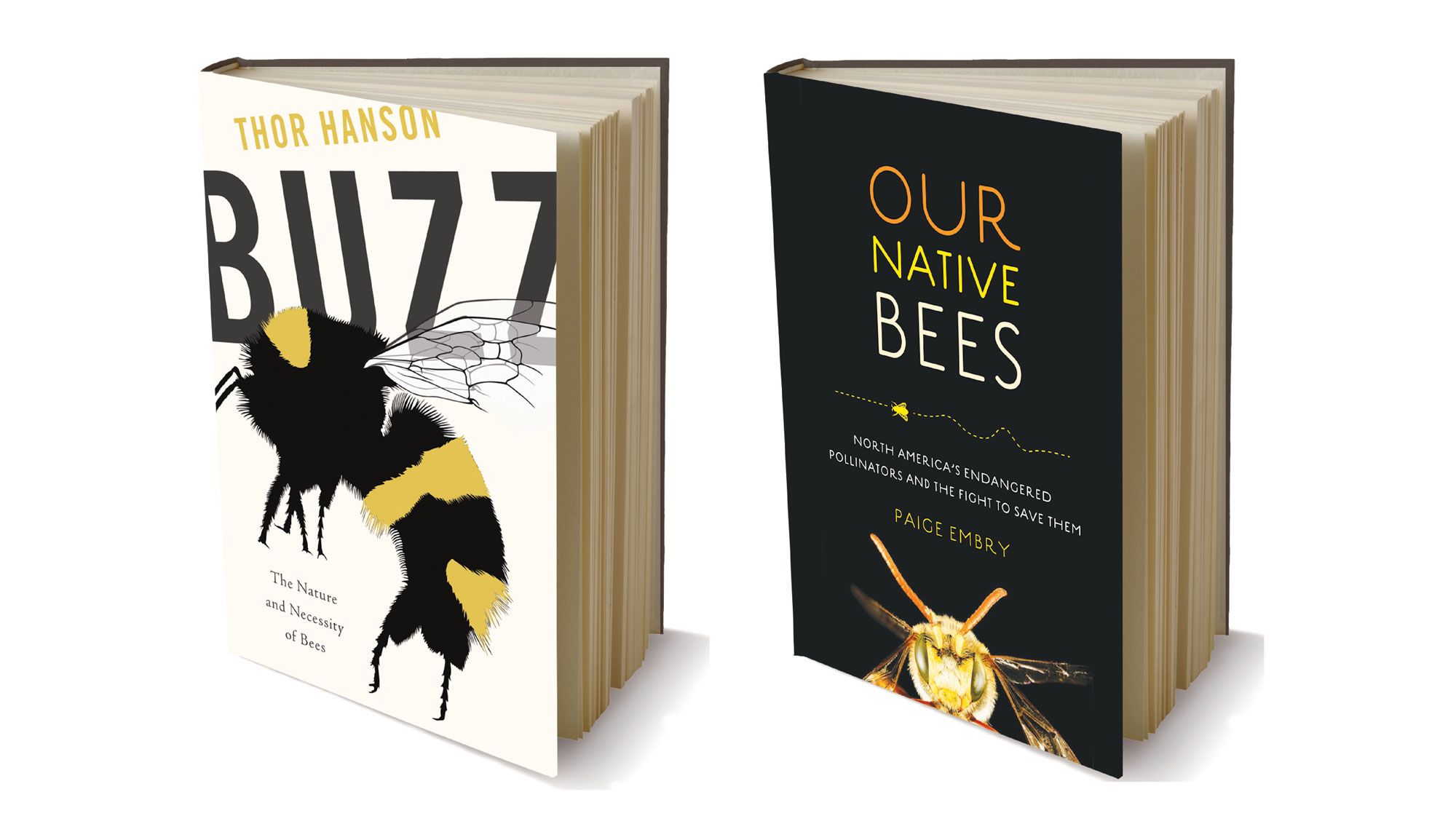 Buzzwords: Two New Books by Seattle Authors Celebrate Bees