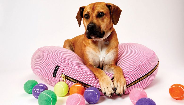 These Locally Made Dog Beds Let Your Pup Sleep in Style