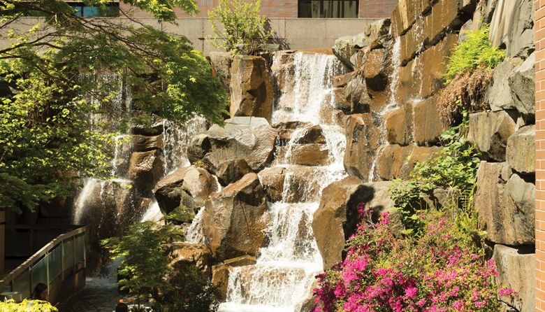 Backstory: Seattle's Tucked Away Waterfall Garden Park Stands out for Its Unlikely Story