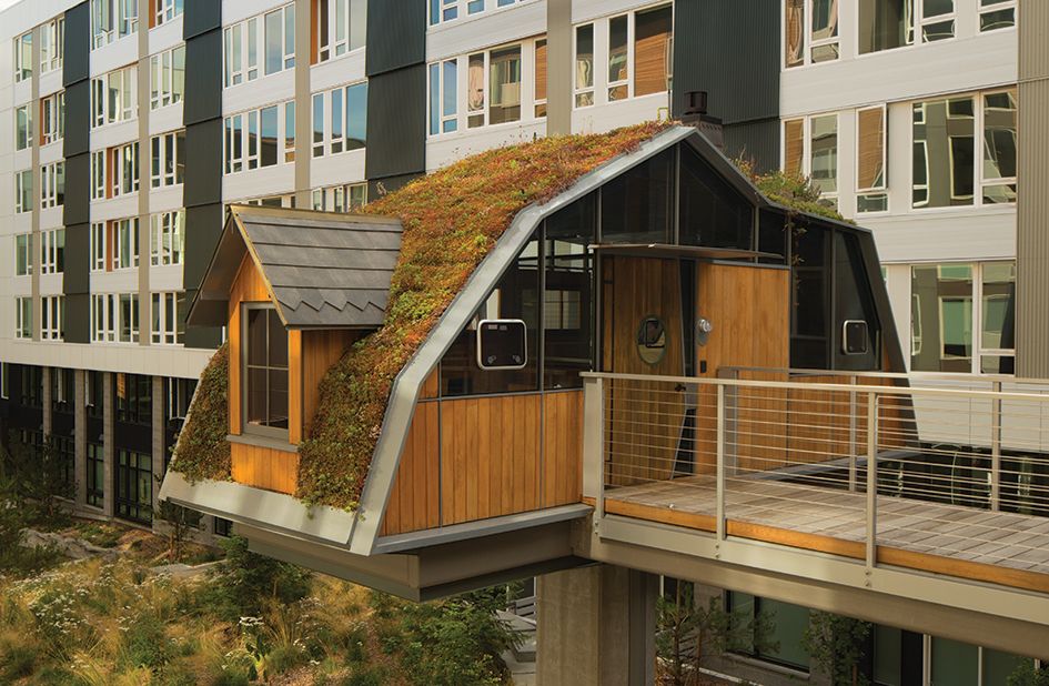 This Urban Tree House Is Upping Seattle’s Apartment Game