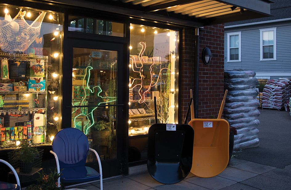 Backstory: Why Glowing Monkeys Are All over Phinney Ridge and Greenwood