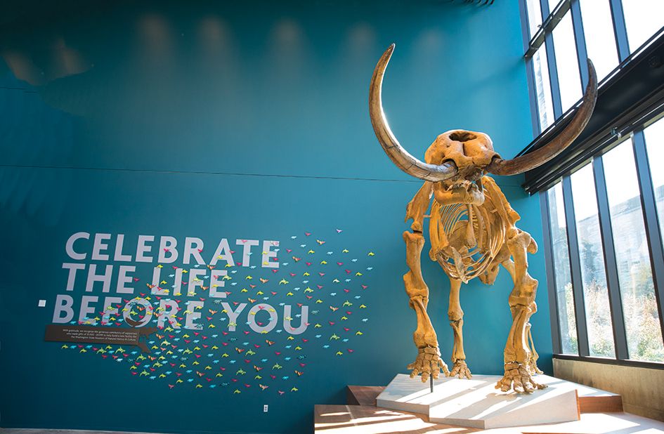 Best of 2019: Seattle Museum and Art Space Openings