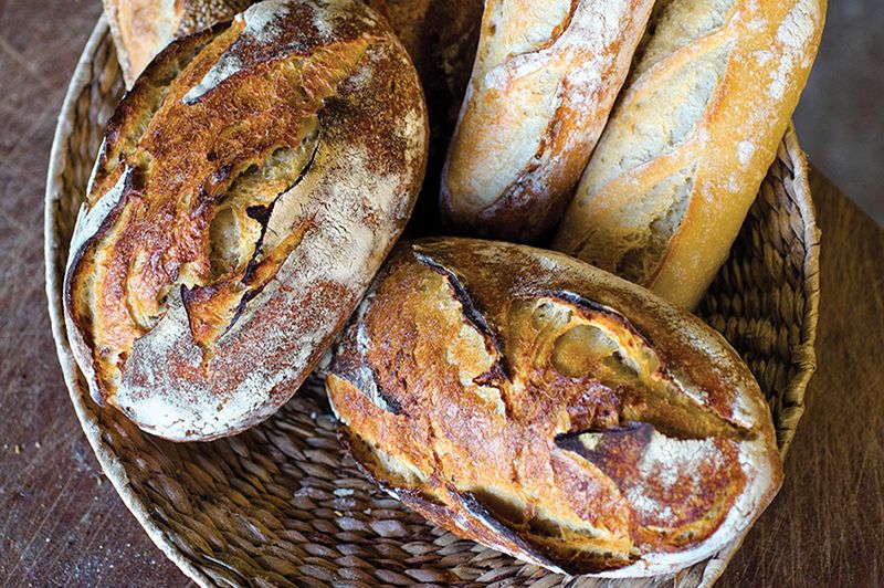 Must-Visit Stops in Skagit Valley