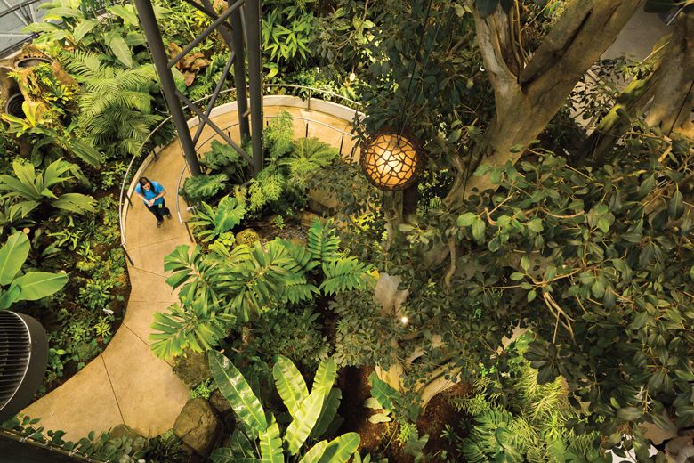 Tours_Amazon-Spheres-by-Alex-Crook-035