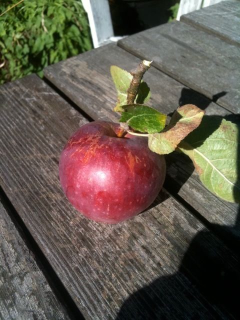 Great Schools Come from Great Teachers