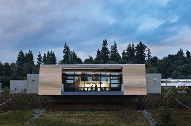 Understanding the Royal Treatment at Brightwater