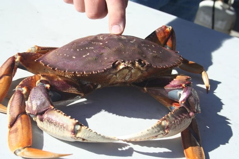 5 Things You Need to Eat and Drink in October 2018