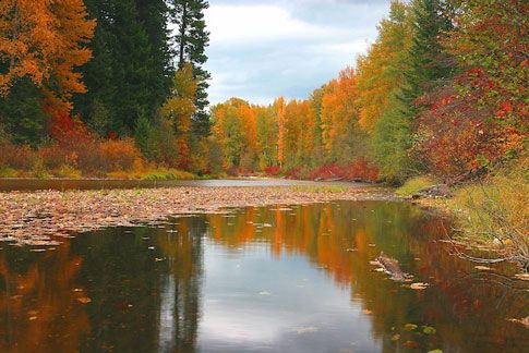 RedTri: Enjoy Fall Colors in Seattle Parks
