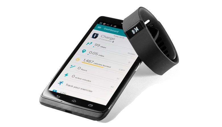 Your August Music Festival Exercise Plan