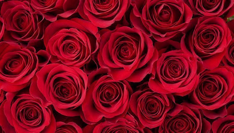 Our Guide to the Best Valentine's Date Ever