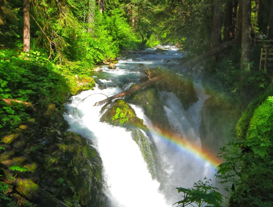 Chasing Waterfalls on the Olympic Peninsula