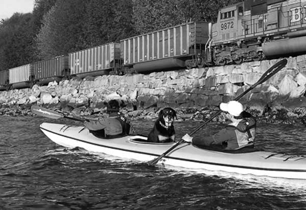 The Life Aquatic: Kayak Rental at Golden Gardens