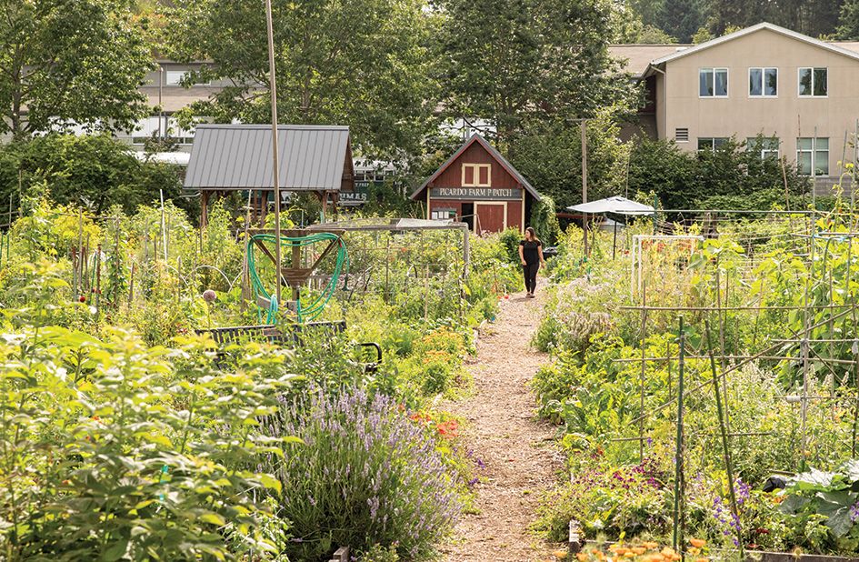 Backstory: Seattle's Passion for P-Patches All Started with One Community Garden
