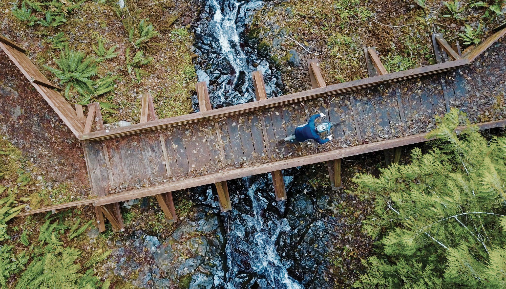 The Best Mountain Biking Trails in Washington